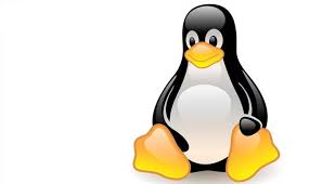 Linux Dağıtımları Arasındaki Farklar