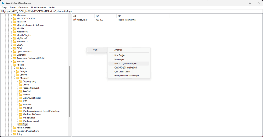 Edge Print Preview Kapatma - DWord 32Bit Değeri Oluşturma