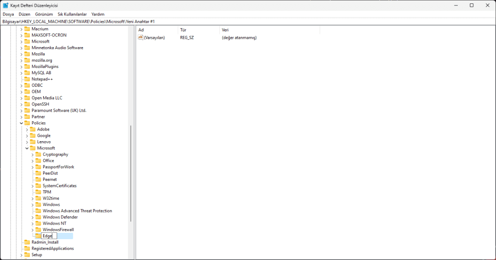 Edge Print Preview Kapatma - Edge Anahtar Değeri İsimlendirme