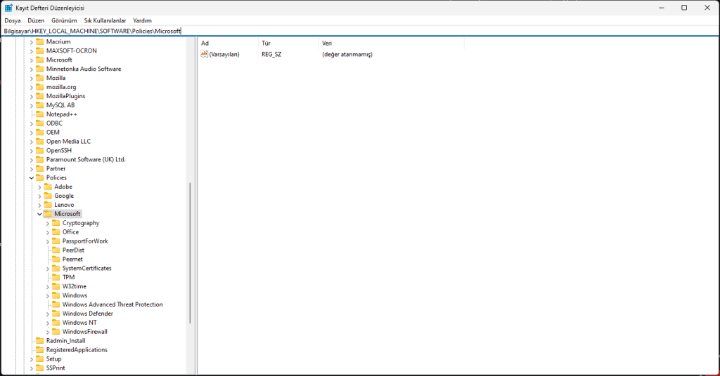 Edge Print Preview Kapatma - Regedit Konumu