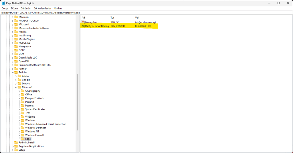 Edge Print Preview Kapatma - UseSystemPrintDialog Değeri Kontrol