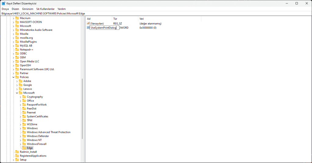 Edge Print Preview Kapatma - UseSystemPrintDialog Değeri Oluşturma