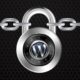 WordPress güvenlik güncellemesi sonrası neyi kontrol etmelisiniz?